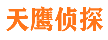 西市侦探公司